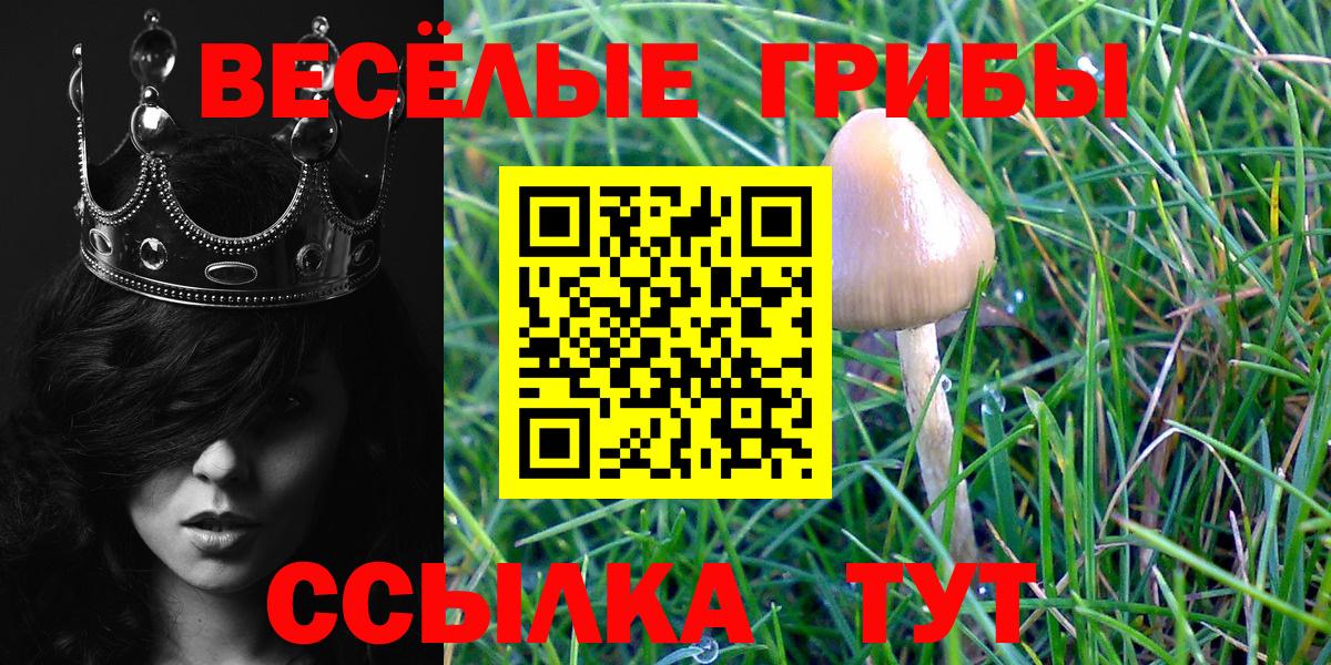 Нерюнгри  Галлюциногенные грибы Cubensis  Вход с VPN 