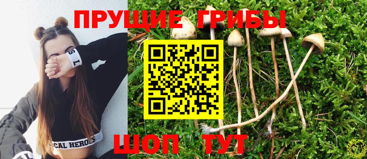 Галлюциногенные грибы MAGIC MUSHROOMS Нерюнгри